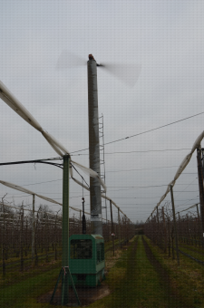 Lutte contre le gel par : tour à vent